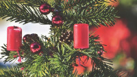 vánoce christmas-tree-4596104 1280